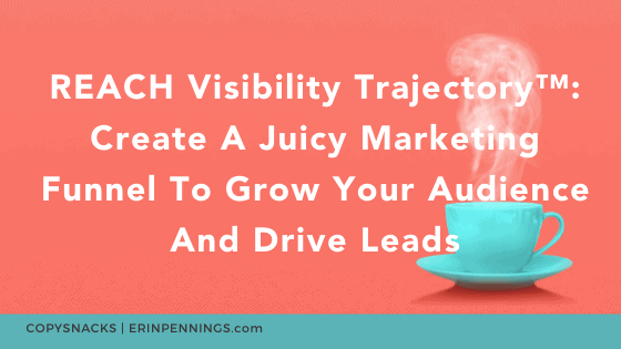 REACH Visibility Trajectory™: Create A Juicy Marketing Funnel To Grow Your Audience And Drive Leads