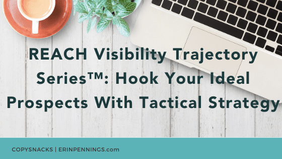 REACH Visibility Trajectory Series™: Hook Your Ideal Prospects With Tactical Strategy